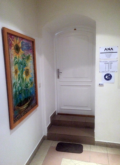 ANA, z.ú. Adiktologické centrum - foto 2