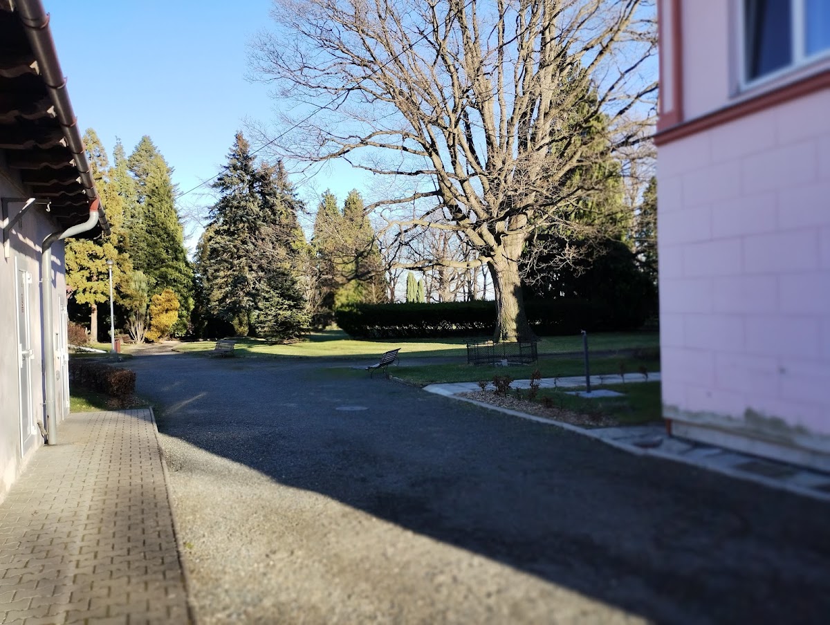 Bílá Voda, Psychiatrická nemocnice Marianny Oranžské - foto 9