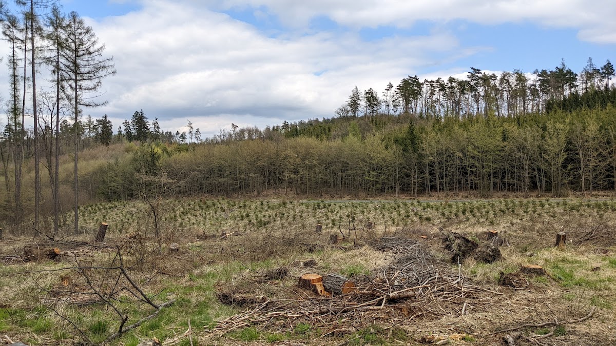 Brno, Krajský školský koordinátor prevence - foto 8