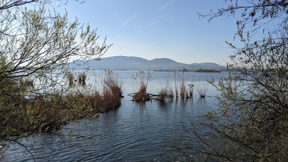 Brno, Krajský školský koordinátor prevence - foto 9