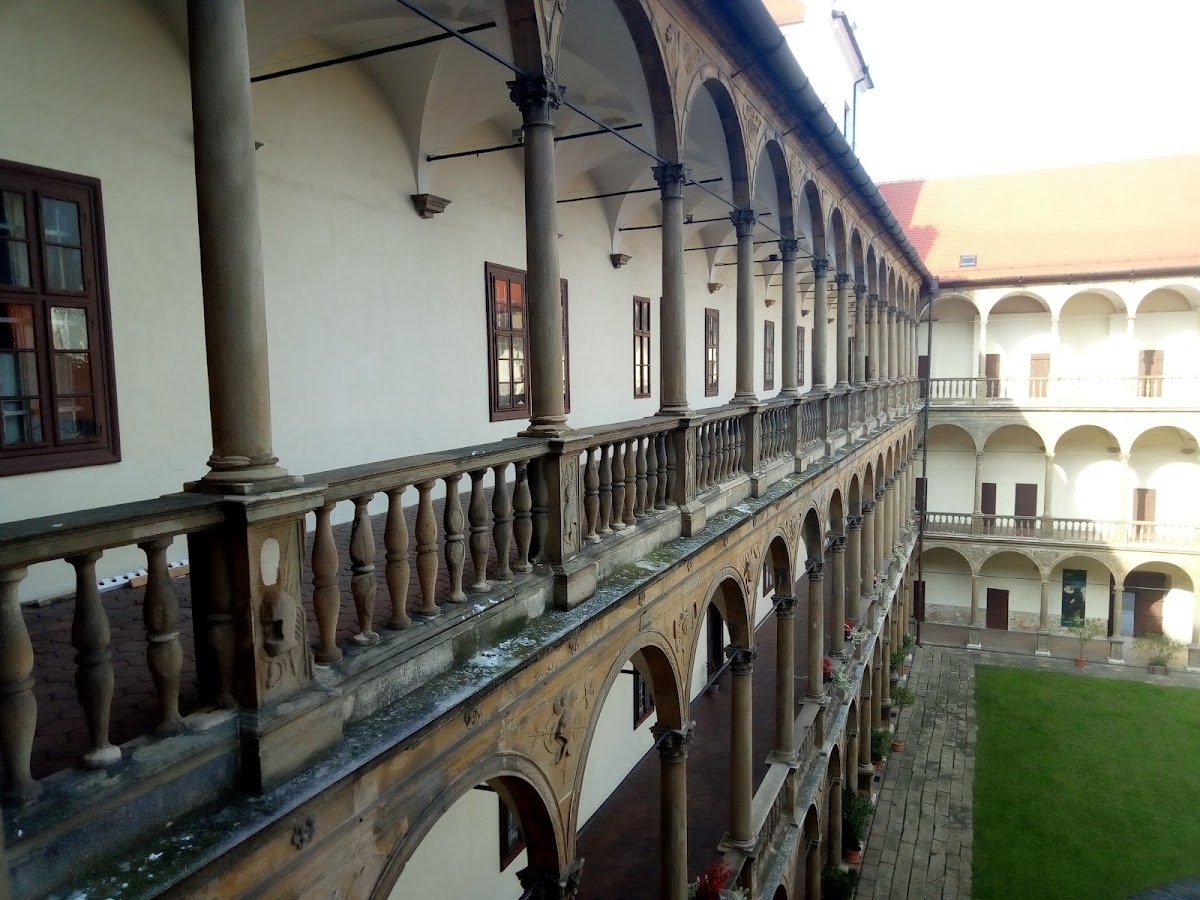 Bučovice, Místní protidrogový koordinátor - foto 4