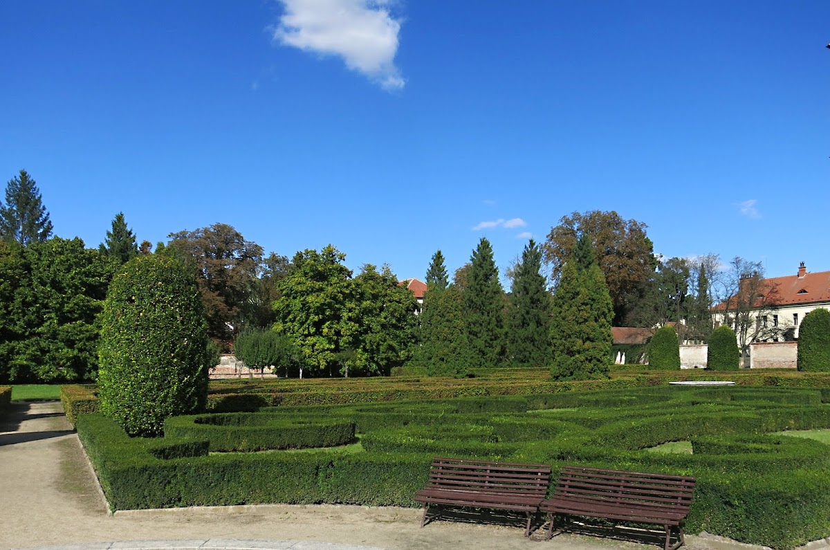 Bučovice, Místní protidrogový koordinátor - foto 5