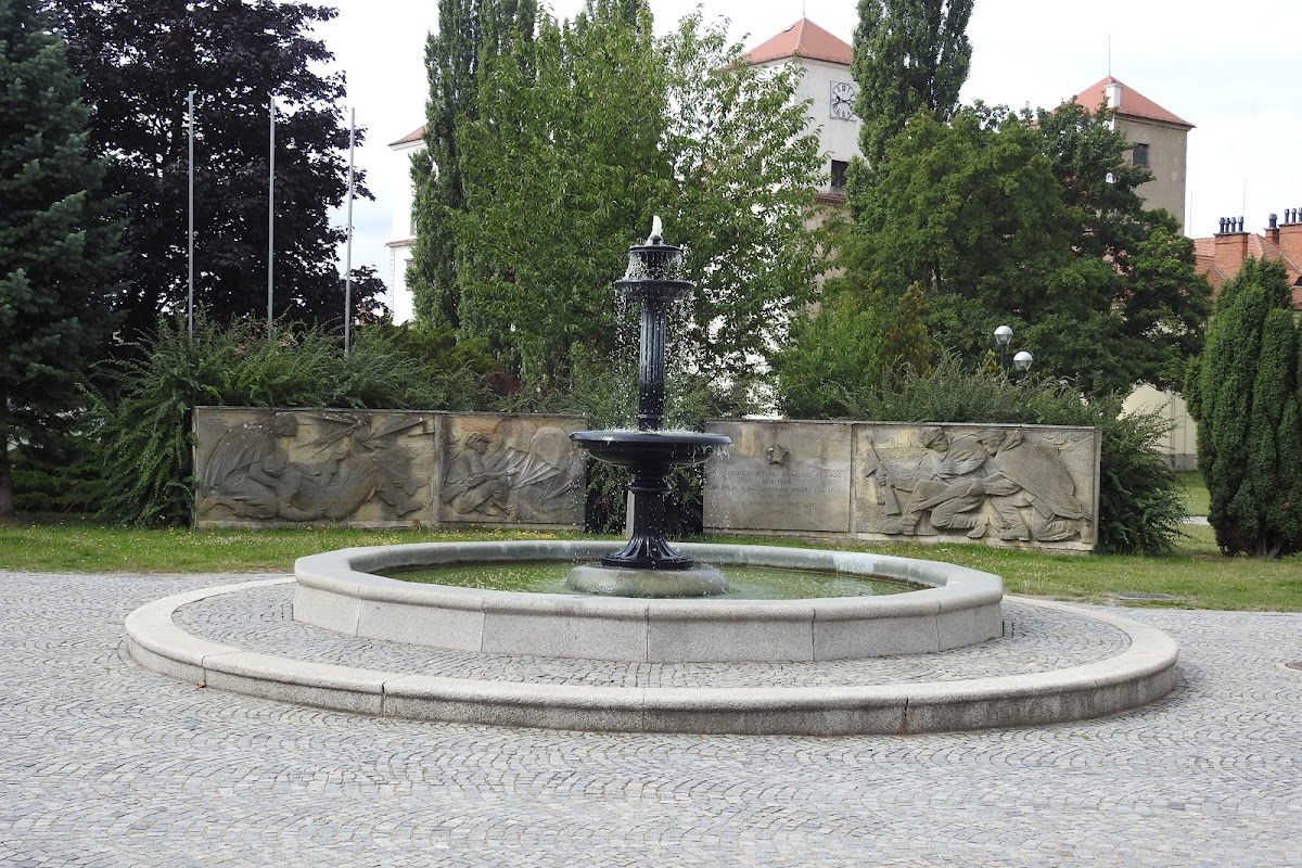 Bučovice, Místní protidrogový koordinátor - foto 9