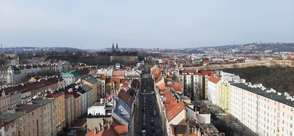 Černošice, místní protidrogový koordinátor - foto 6