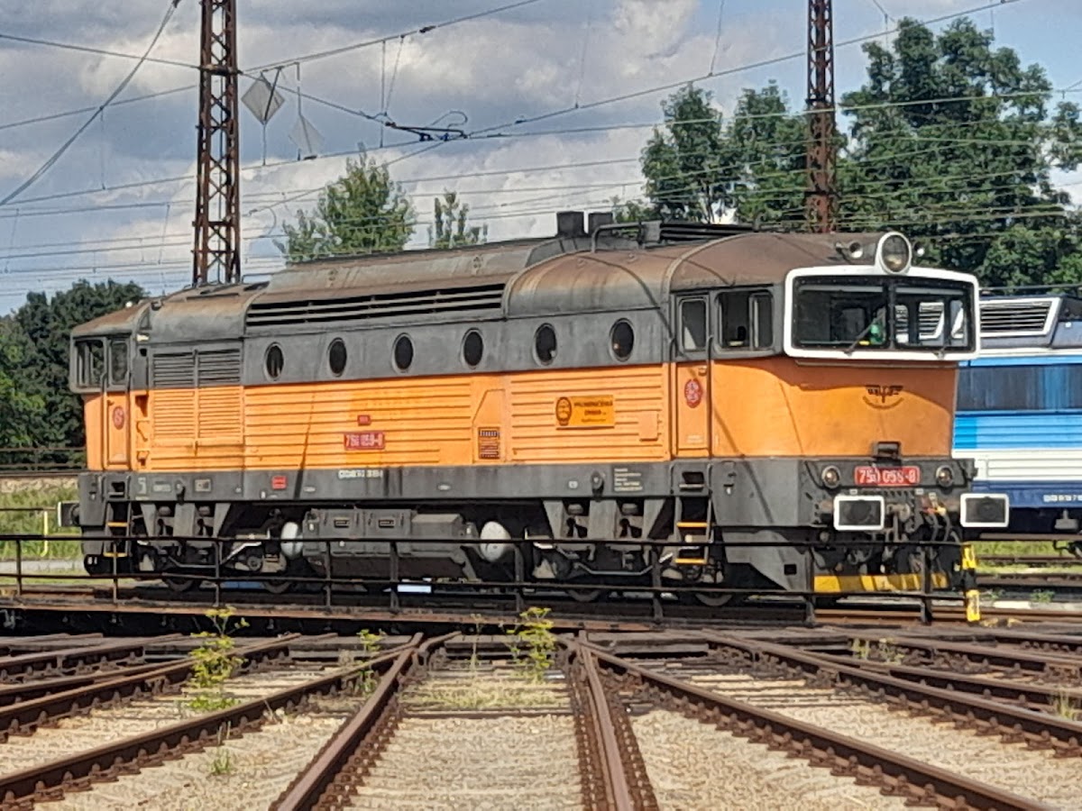 Česká Třebová, Místní protidrogový koordinátor - foto 1