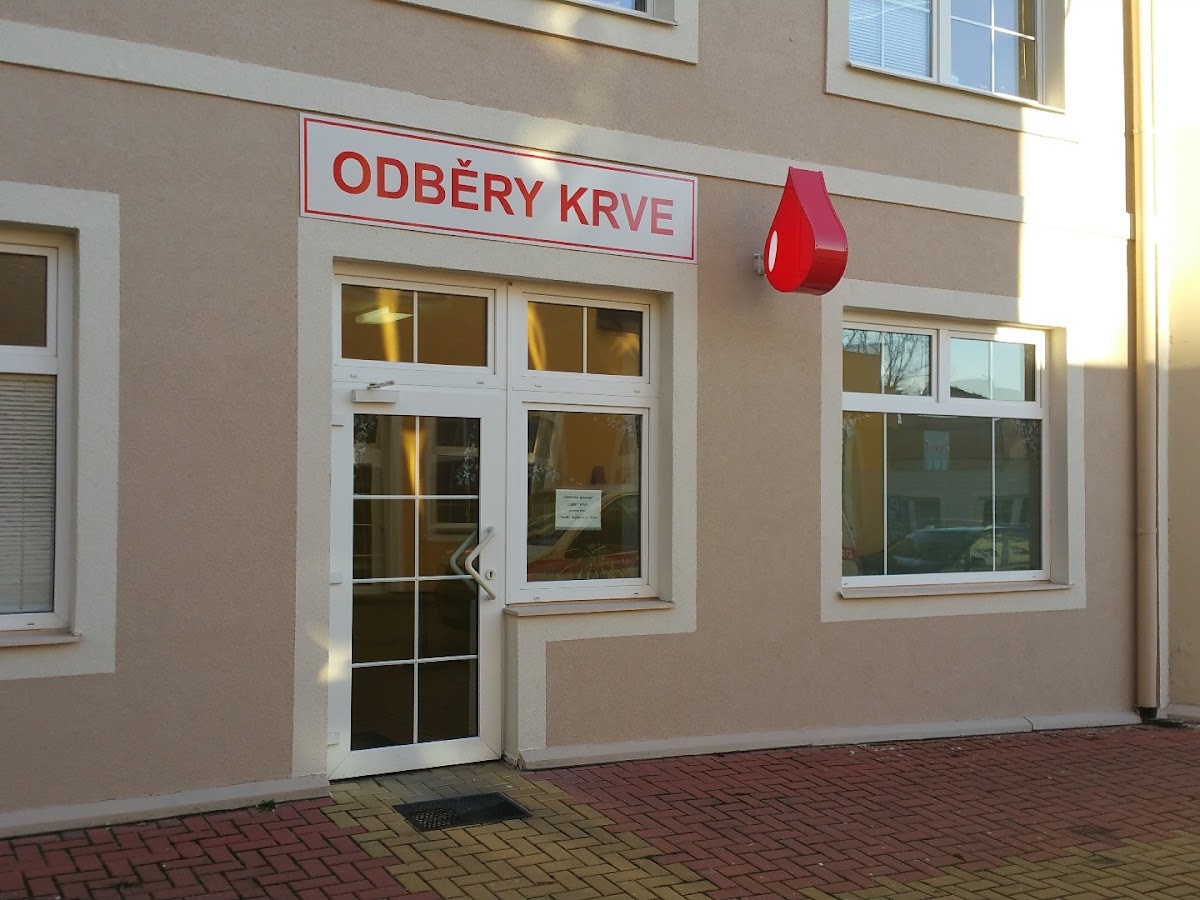 Cheb, Místní protidrogový koordinátor - foto 2