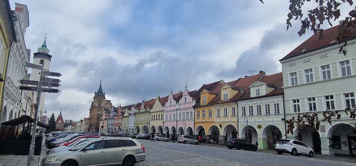 Domažlice, Místní protidrogový koordinátor - Domažlice