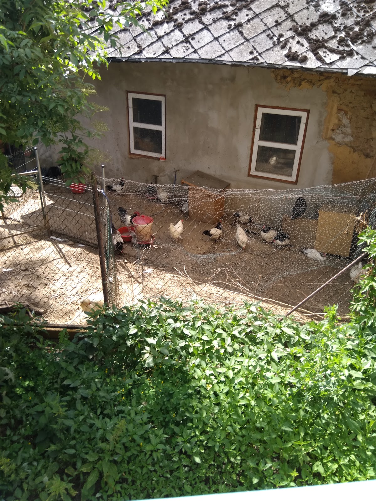 Domažlice, Místní protidrogový koordinátor - foto 7