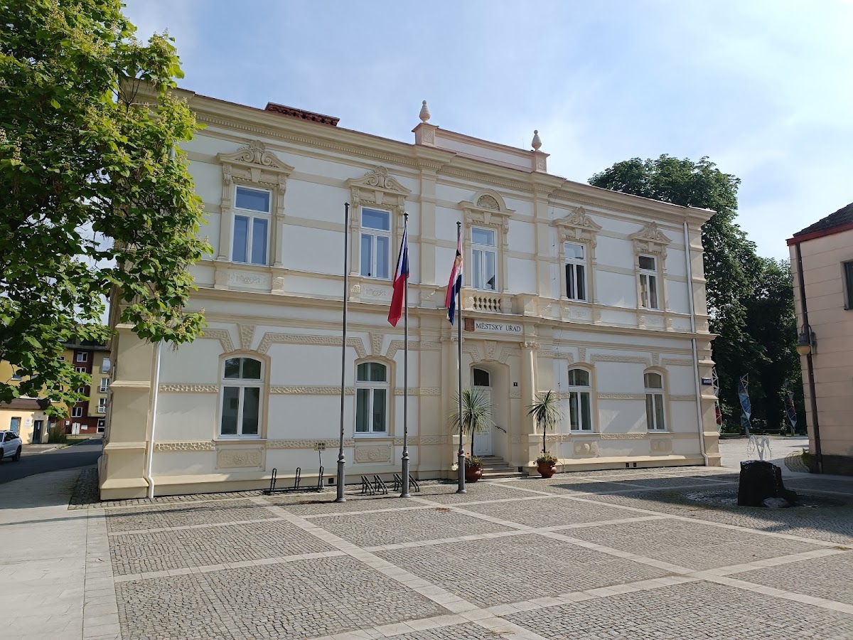 Frýdlant nad Ostravicí, Místní protidrogový koordinátor - foto 1