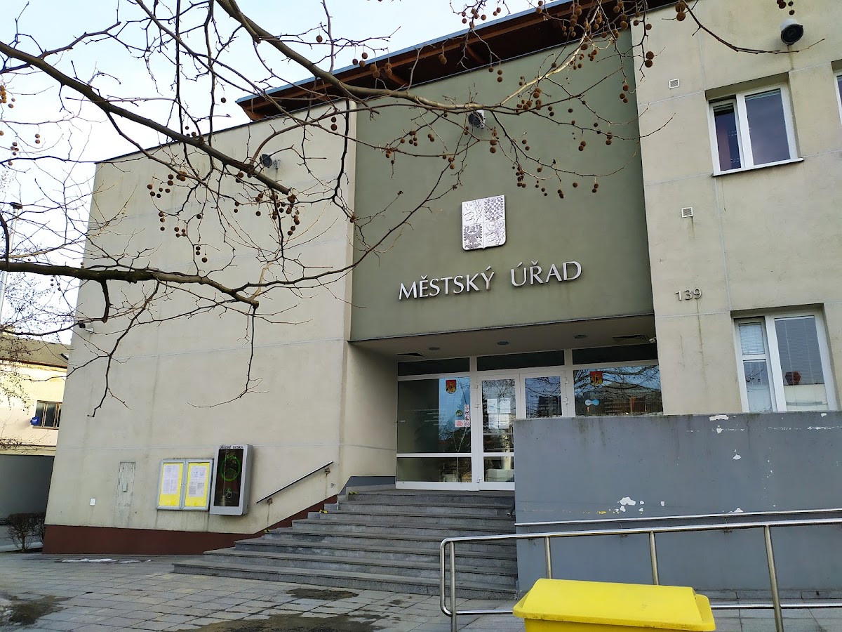 Frýdlant nad Ostravicí, Místní protidrogový koordinátor - foto 4