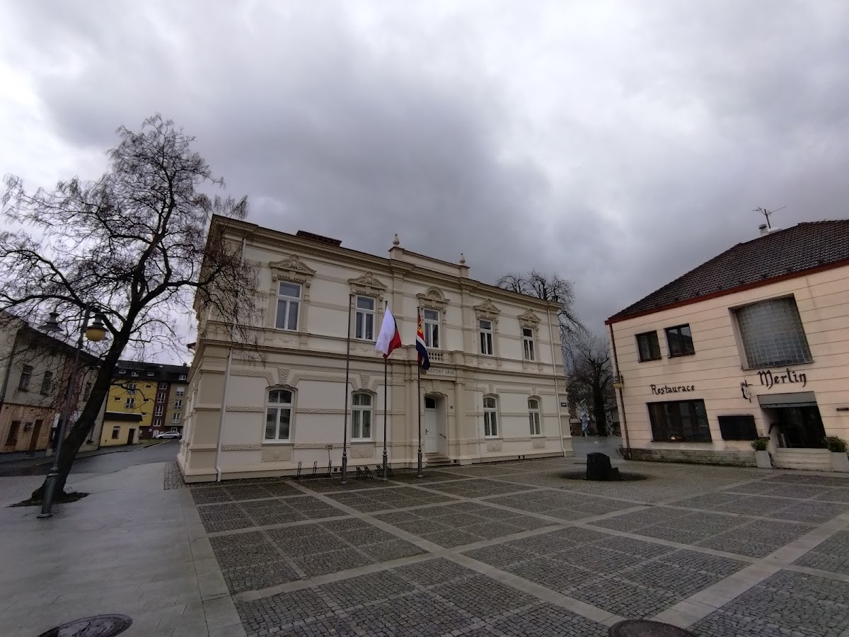 Frýdlant nad Ostravicí, Místní protidrogový koordinátor - foto 7