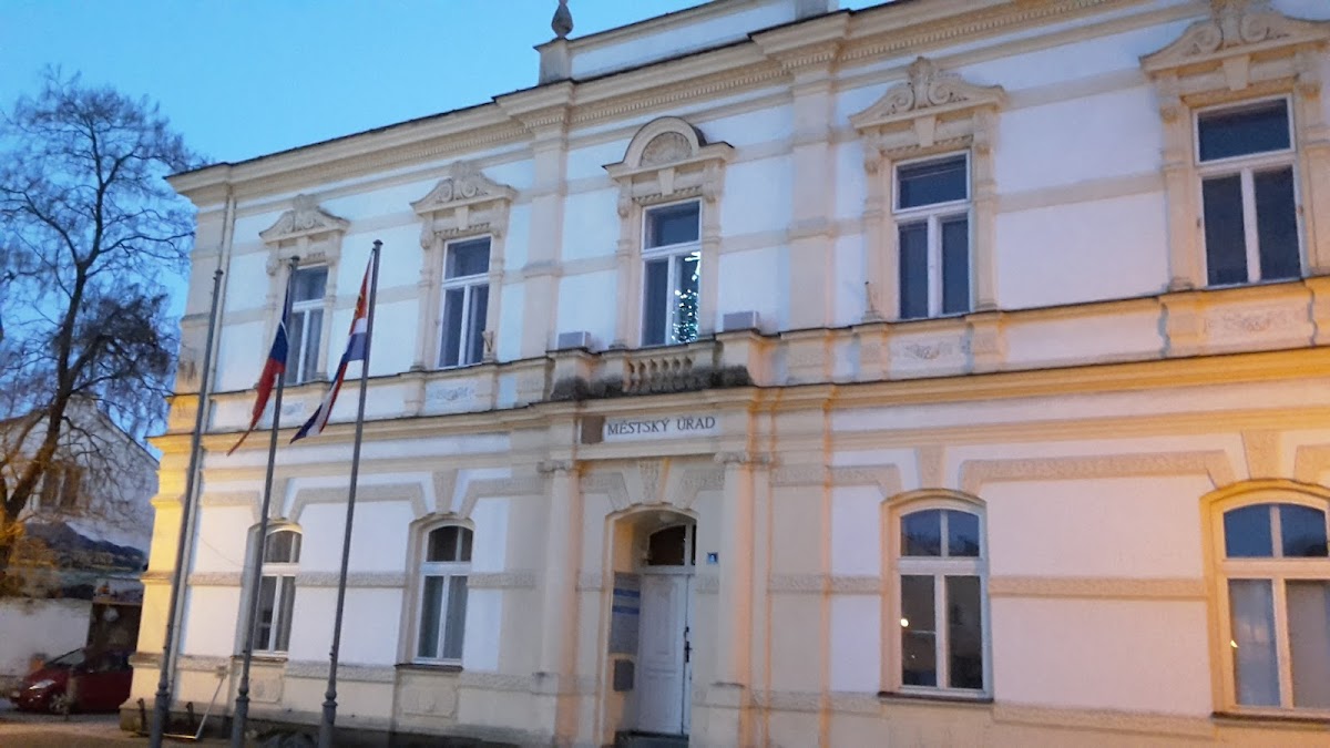 Frýdlant nad Ostravicí, Místní protidrogový koordinátor - foto 8