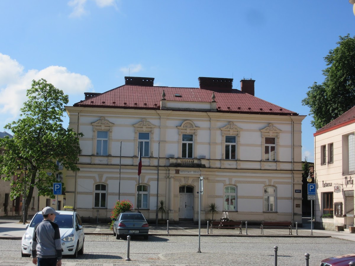 Frýdlant nad Ostravicí, Místní protidrogový koordinátor - foto 9