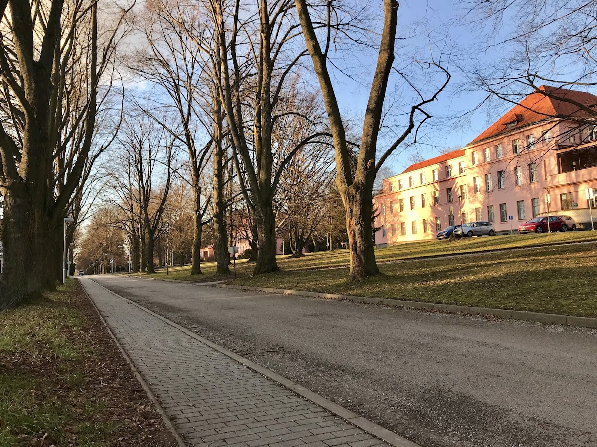 Havlíčkův Brod, Psychiatrická ambulance - foto 10