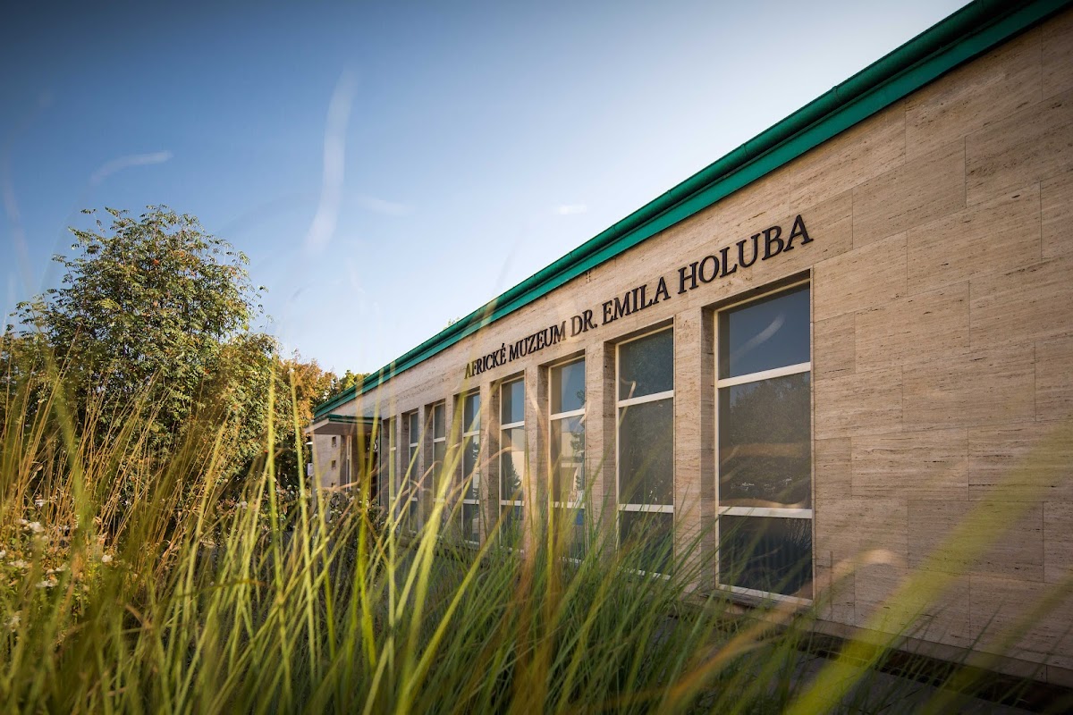 Holice, Místní protidrogový koordinátor - foto 2