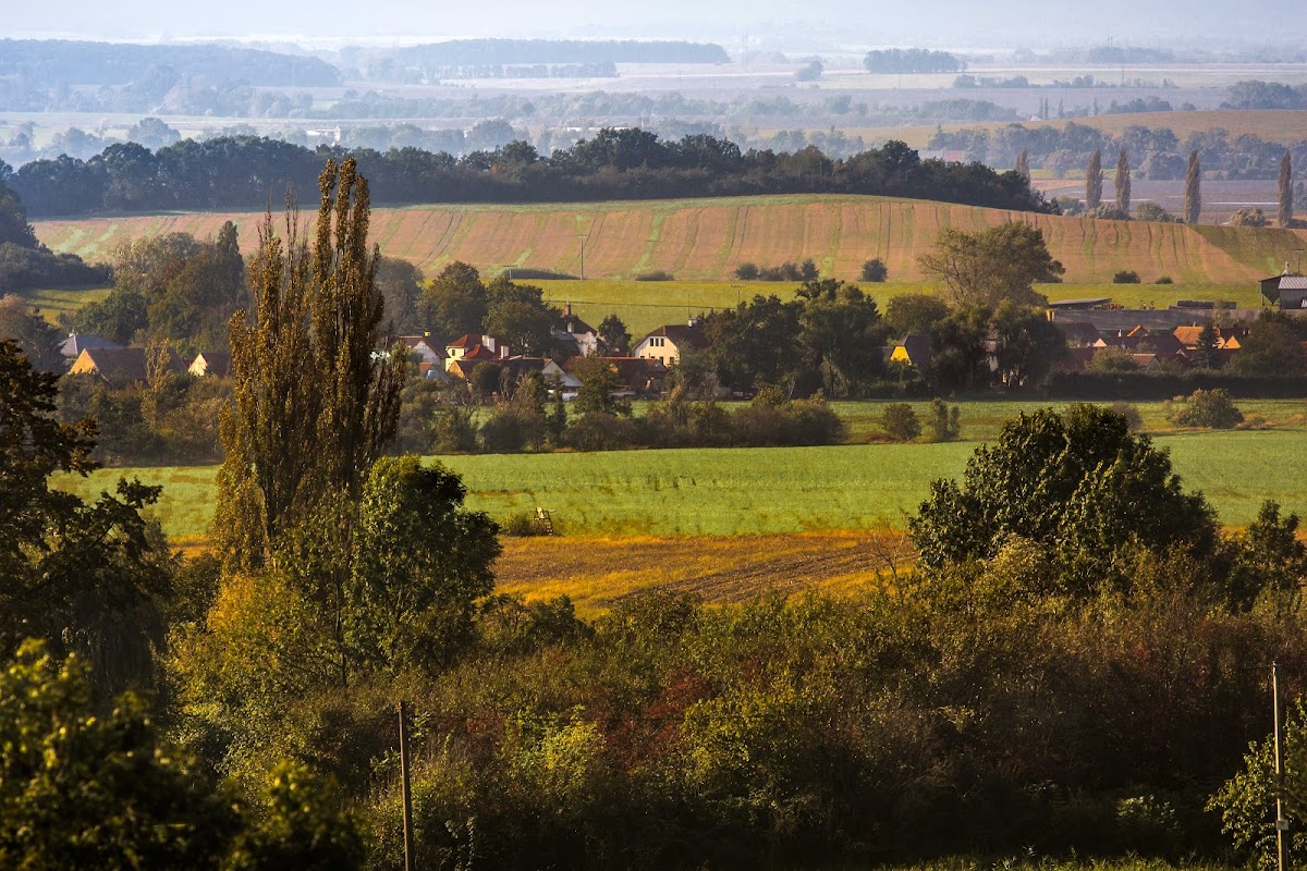 Holice, Místní protidrogový koordinátor - foto 7