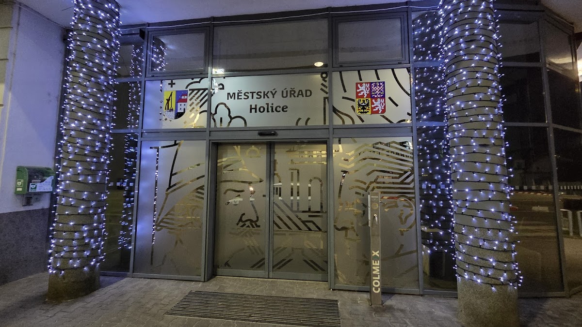 Holice, Místní protidrogový koordinátor - foto 8