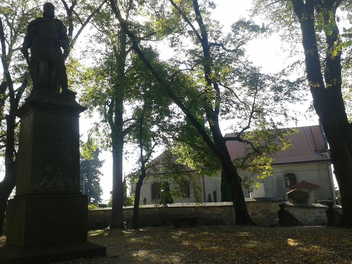 Hořice, Místní protidrogový koordinátor - foto 4