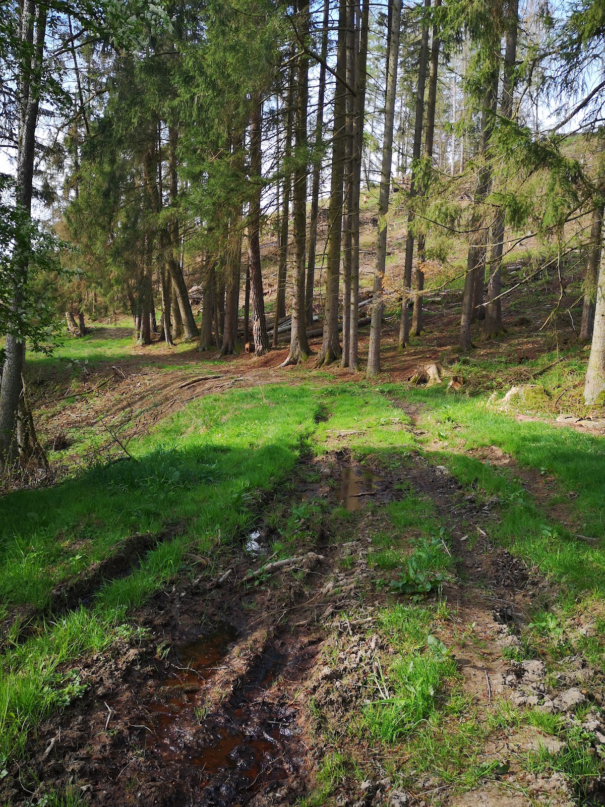 Jihlava, Krajský školský koordinátor prevence - foto 6