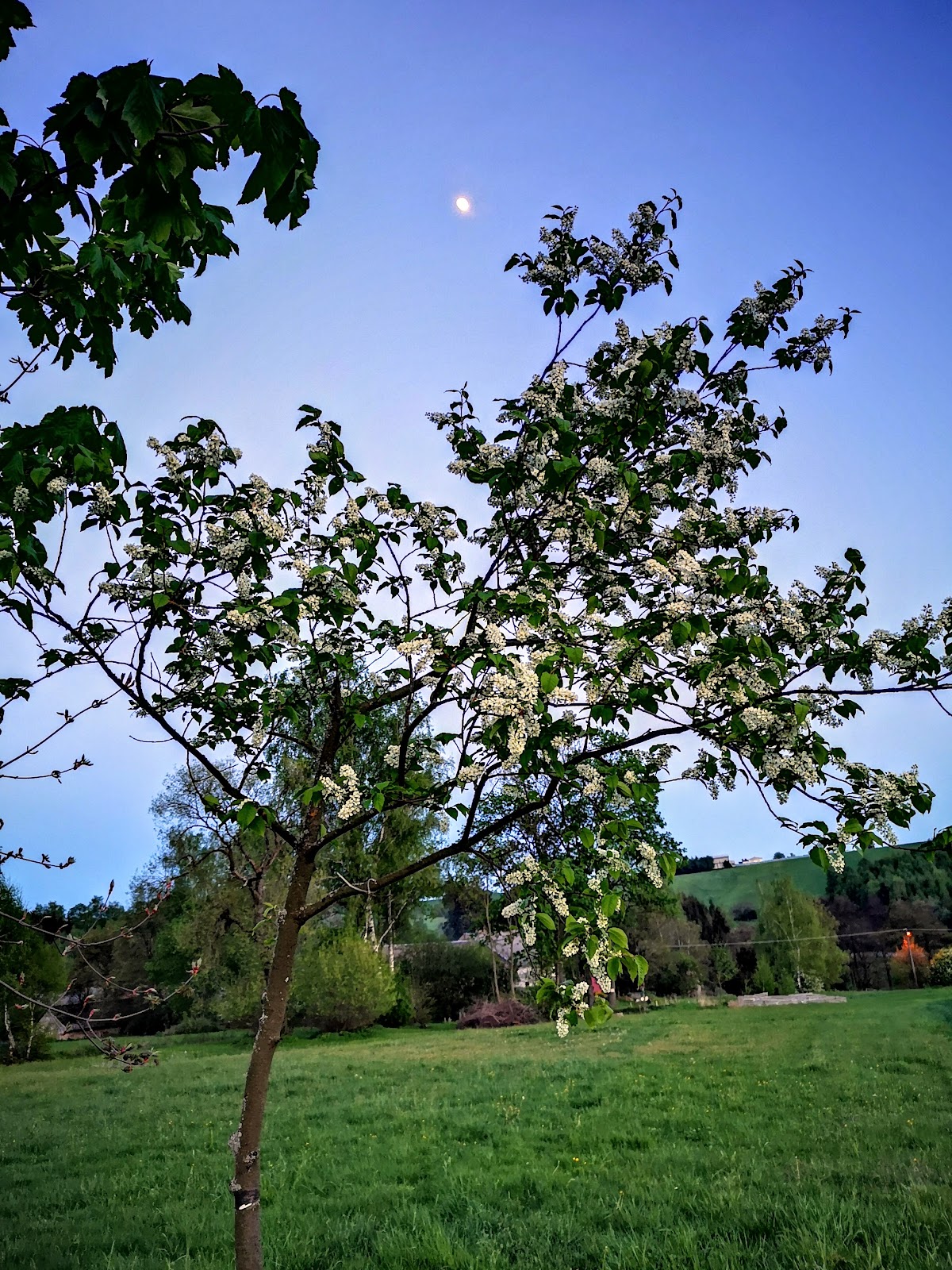Jihlava, Krajský školský koordinátor prevence - foto 7