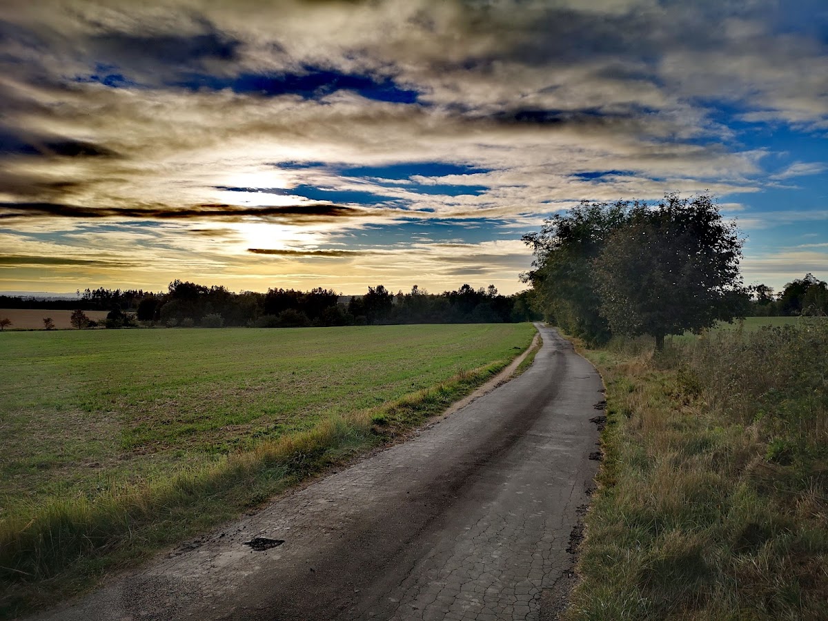 Jihlava, Krajský školský koordinátor prevence - foto 8