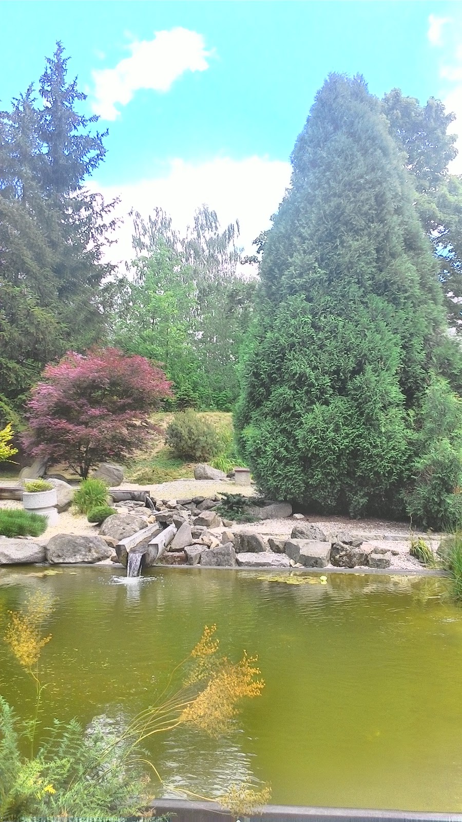 Jihlava, Pavilon 8 při Psychiatrické nemocnici Jihlava - foto 10