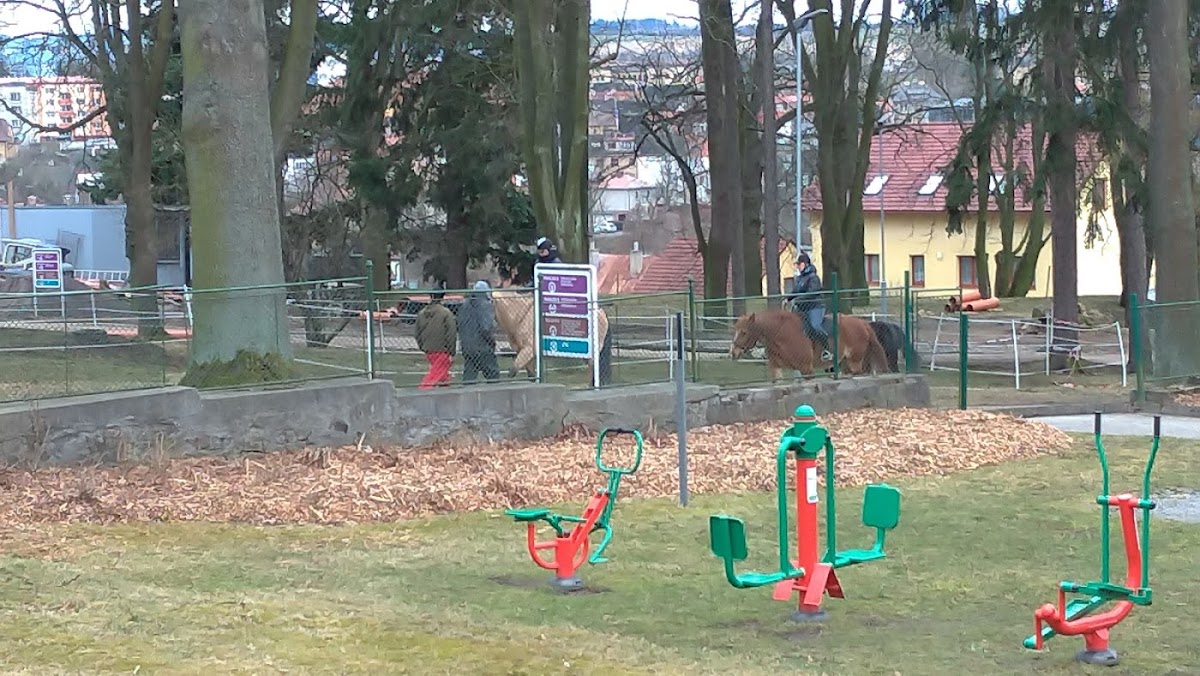Jihlava, Pavilon 8 při Psychiatrické nemocnici Jihlava - foto 7