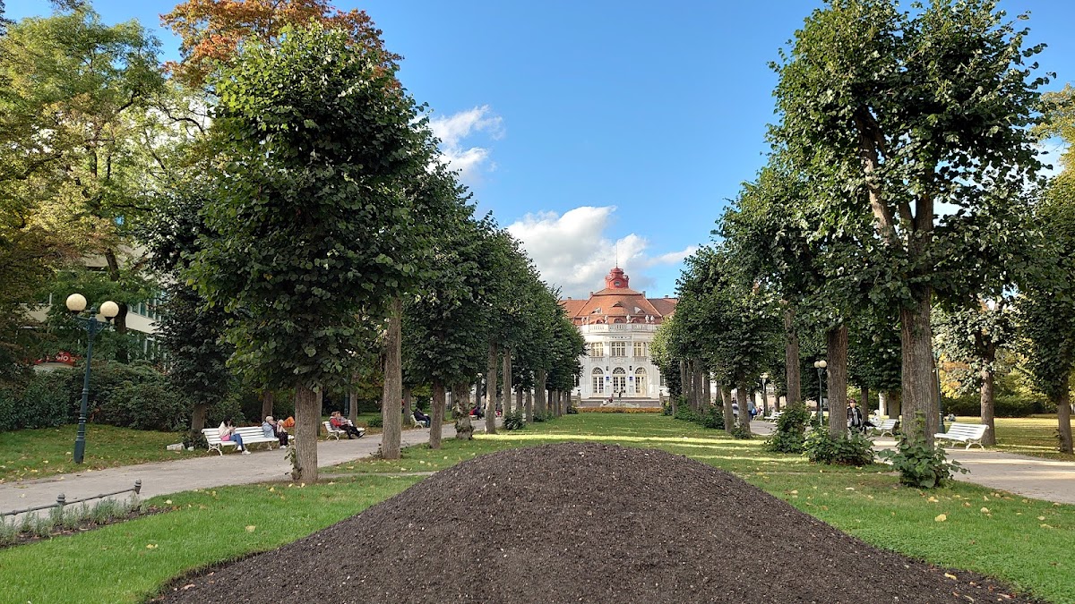 Karlovy Vary, Krajský školský koordinátor prevence - foto 8