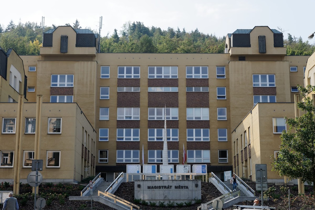 Karlovy Vary, Místní protidrogový koordinátor - foto 1