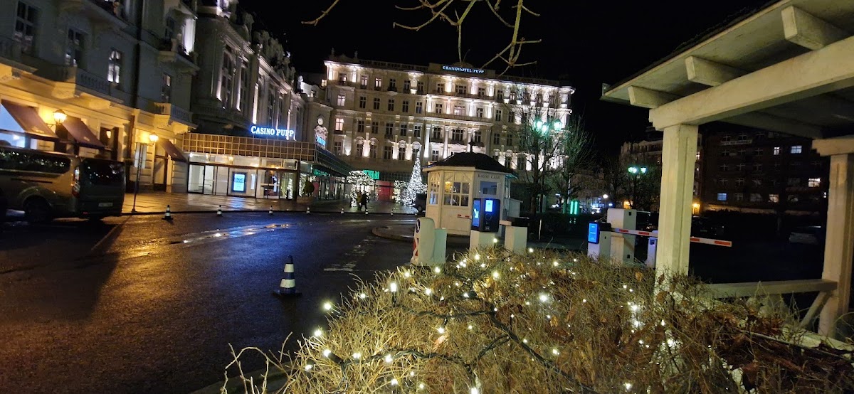 Karlovy Vary, Místní protidrogový koordinátor - foto 10