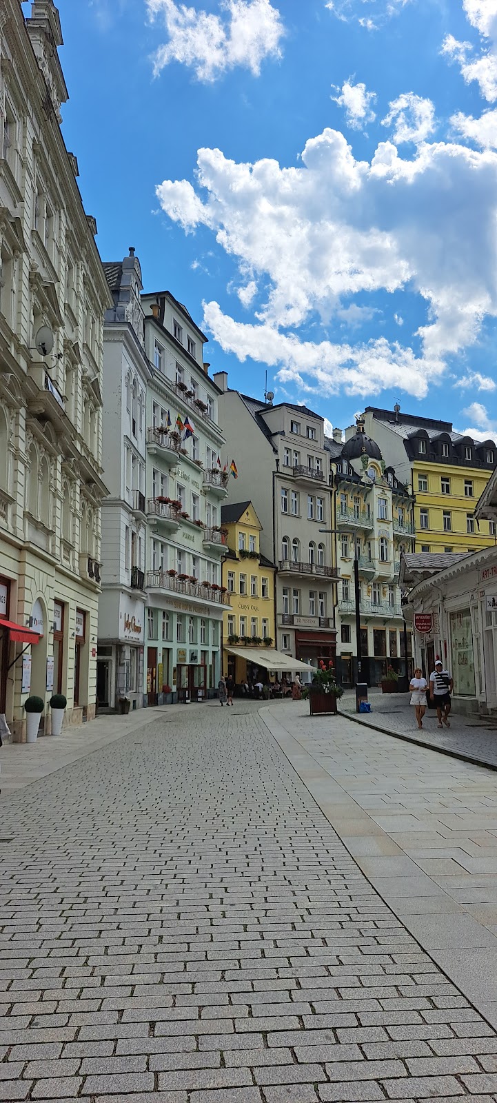 Karlovy Vary, Místní protidrogový koordinátor - foto 3