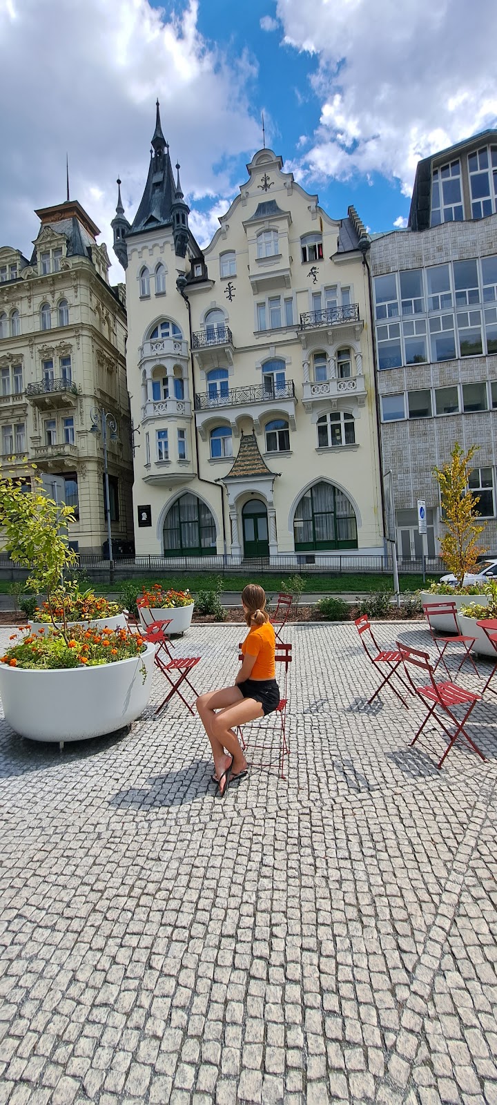 Karlovy Vary, Místní protidrogový koordinátor - foto 8