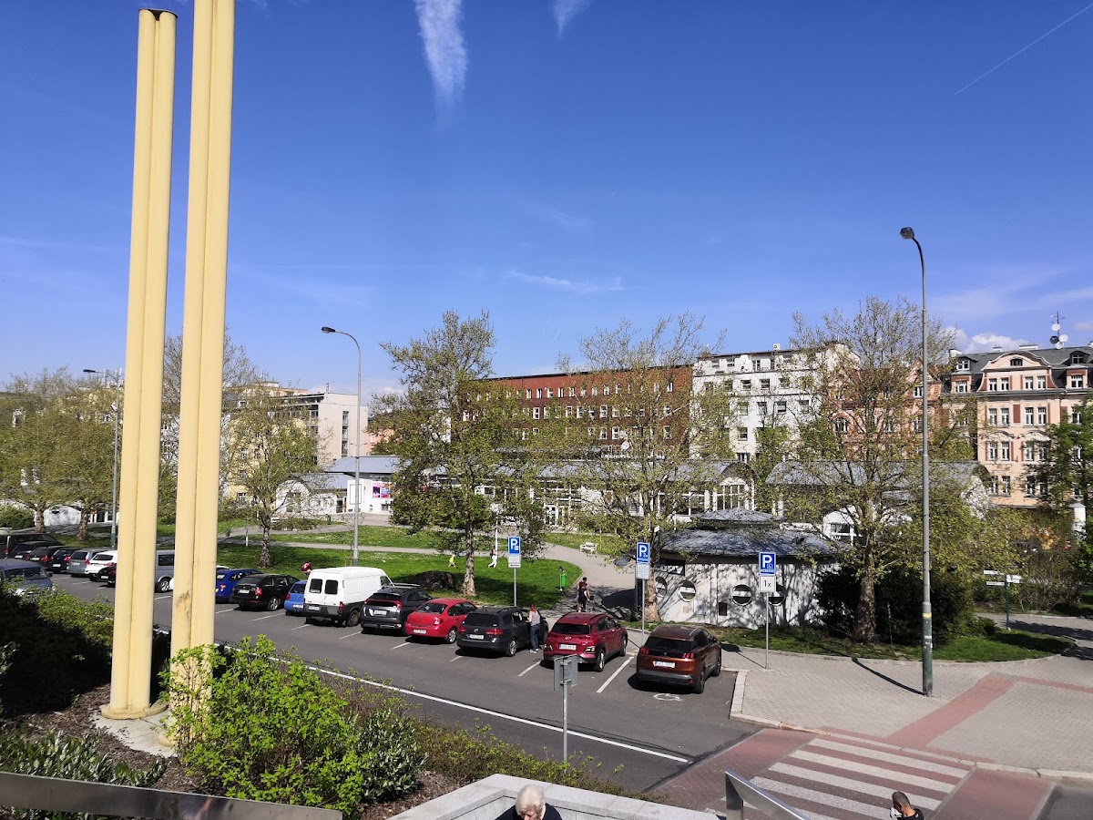 Karlovy Vary, Místní protidrogový koordinátor - foto 9