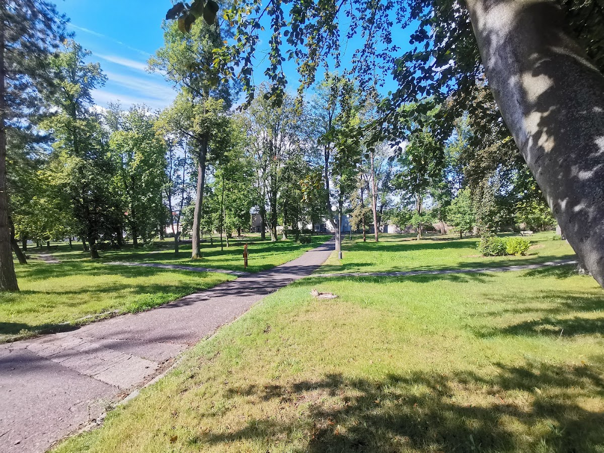 Kosmonosy, Detoxifikace - foto 5