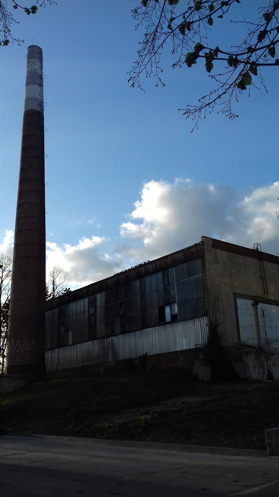 Kosmonosy, Detoxifikace - foto 6