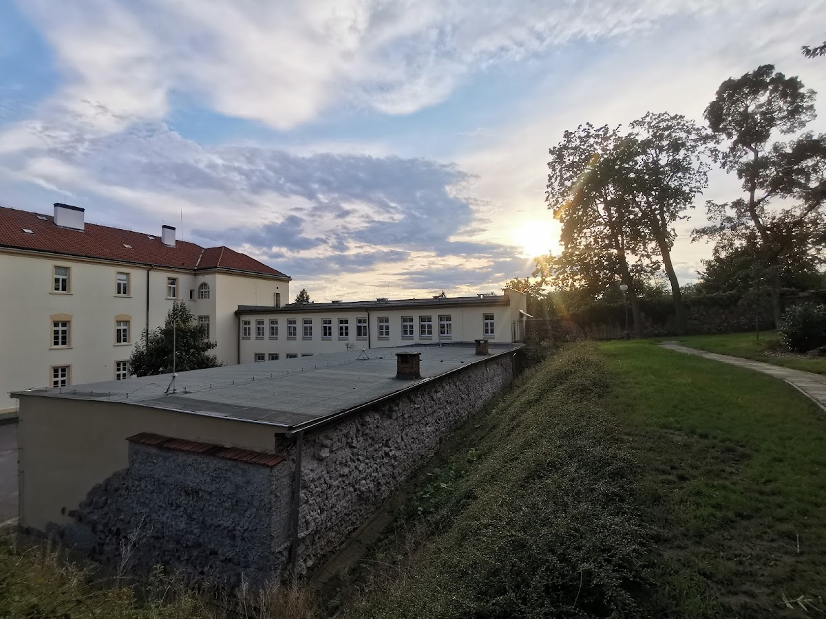 Kosmonosy, Detoxifikace - foto 8