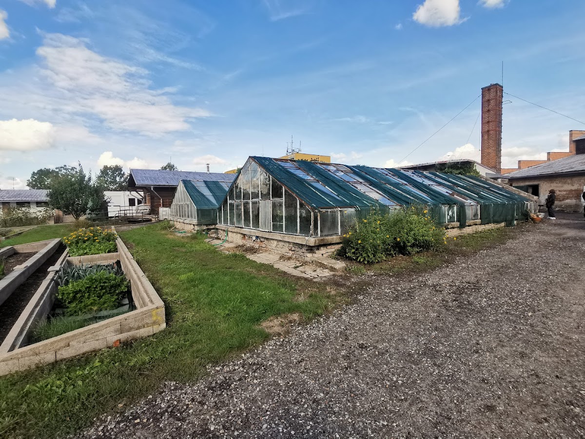 Kosmonosy, Detoxifikace - foto 9