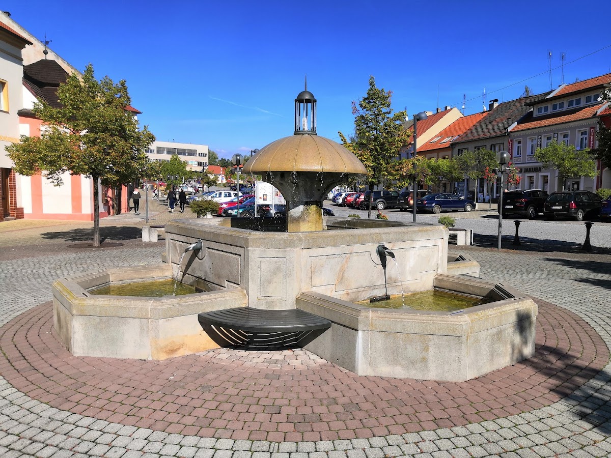 Kralovice, Místní protidrogový koordinátor - foto 2