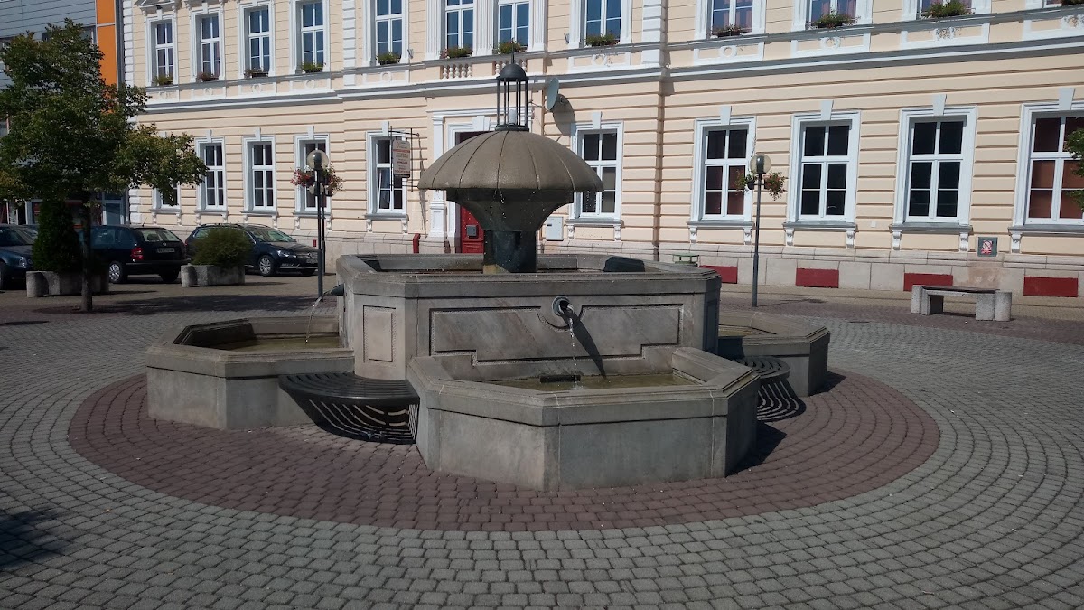 Kralovice, Místní protidrogový koordinátor - foto 8