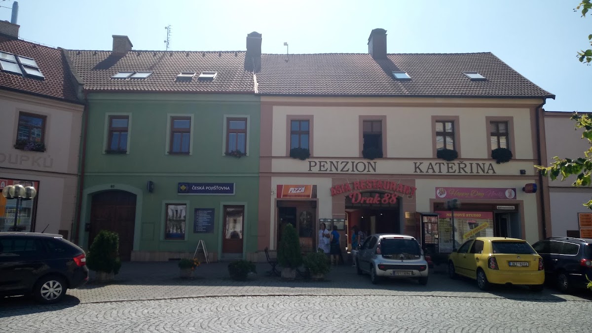 Kralovice, Místní protidrogový koordinátor - foto 9