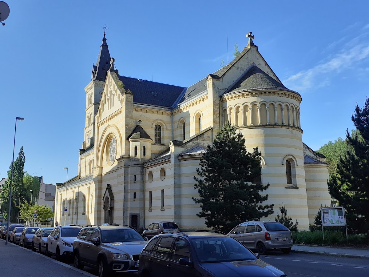 Kraslice, Místní protidrogový koordinátor - foto 10