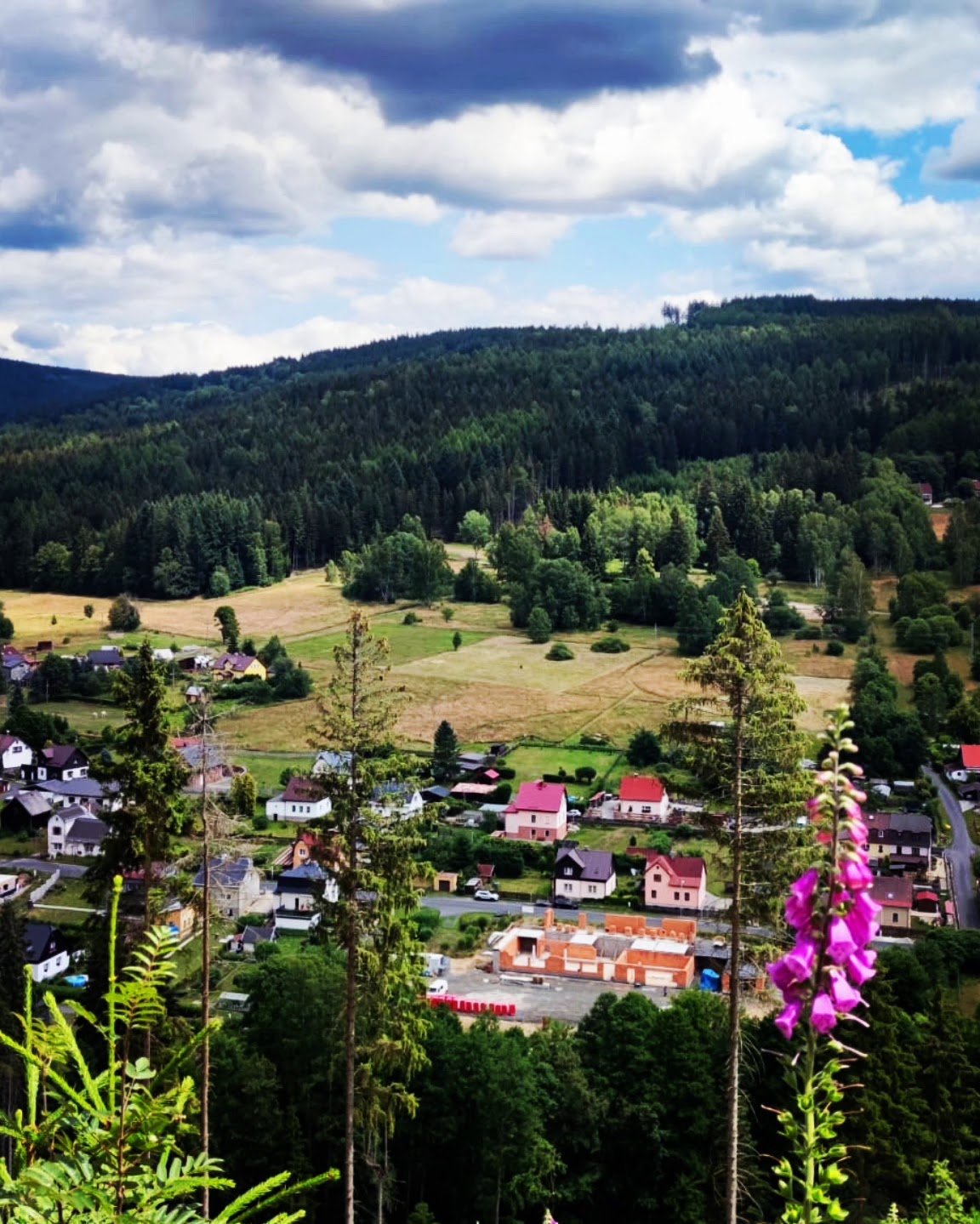 Kraslice, Místní protidrogový koordinátor - foto 3