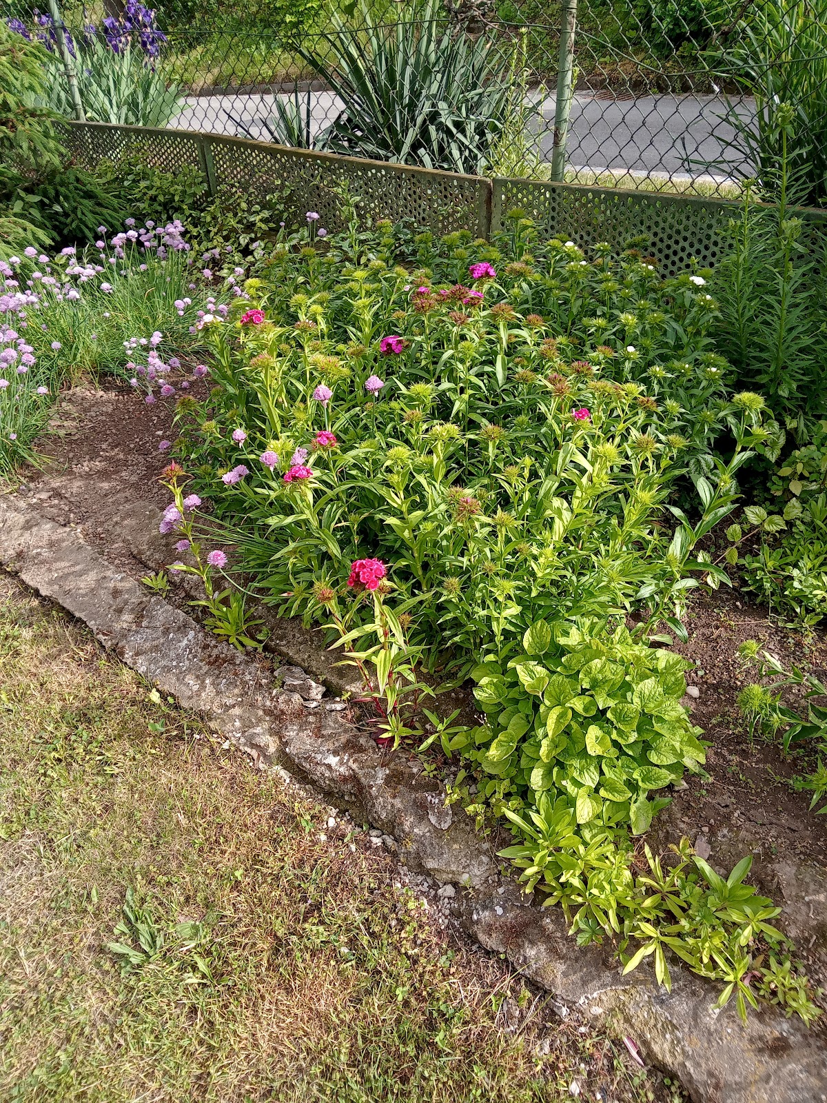 Kroměříž, Centrum pro choroby srdce a cév - foto 3