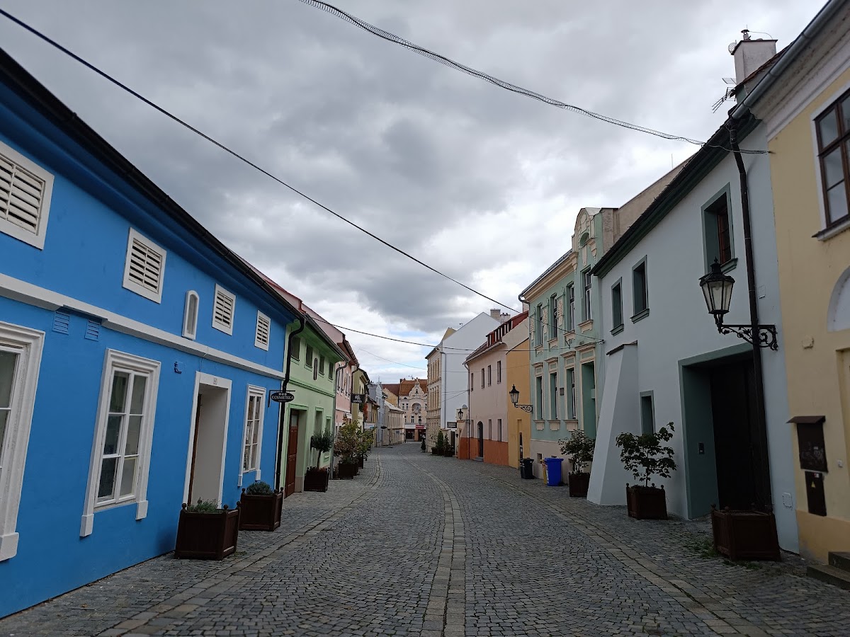 Kroměříž, Místní protidrogový koordinátor - Kroměříž