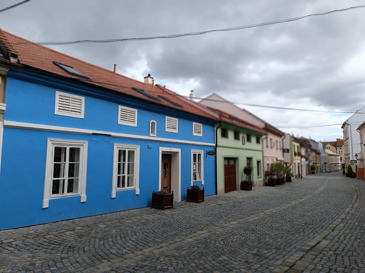 Kroměříž, Místní protidrogový koordinátor - foto 6