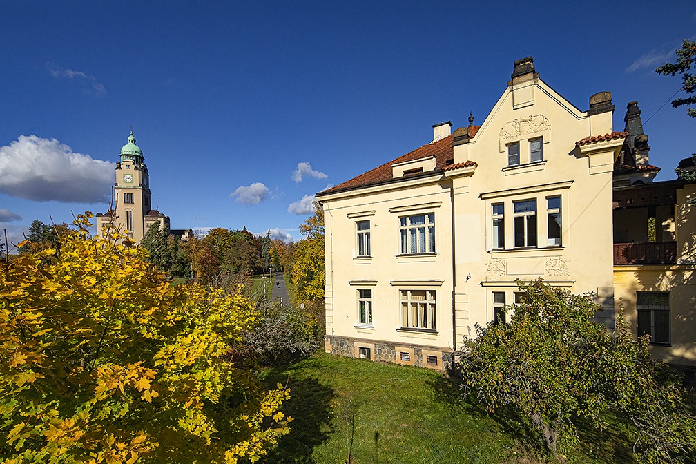 Linka bezpečí - Praha 8-Bohnice