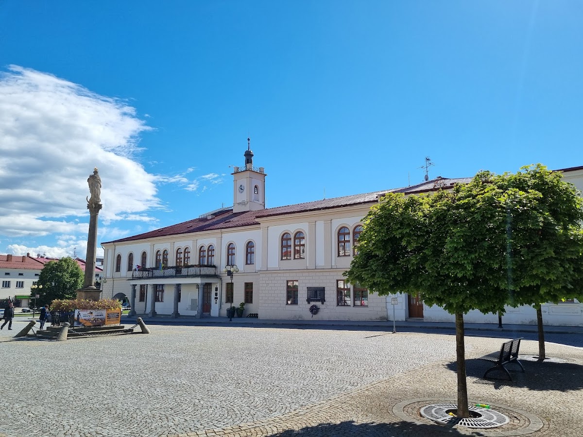 Lipník nad Bečvou, Místní protidrogový koordinátor - foto 2