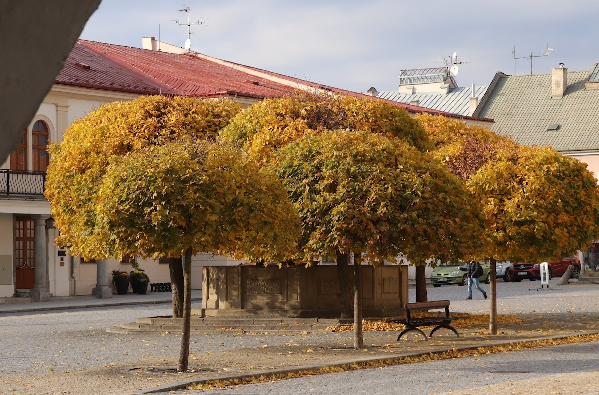 Lipník nad Bečvou, Místní protidrogový koordinátor - foto 5