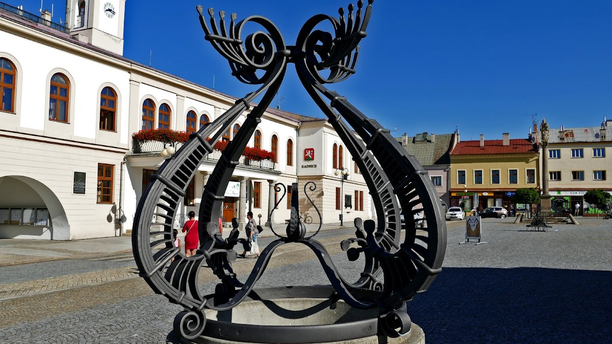 Lipník nad Bečvou, Místní protidrogový koordinátor - foto 6