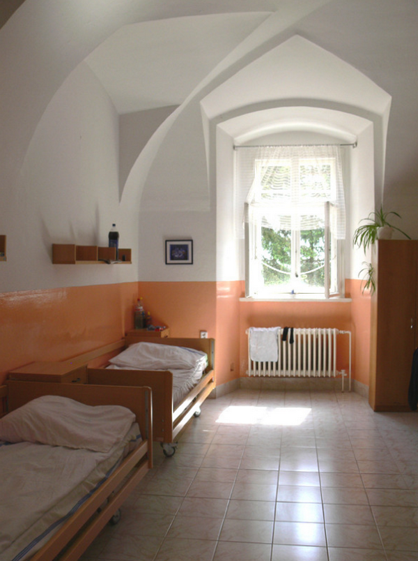 Lnáře, Psychiatrická léčebna - foto 3